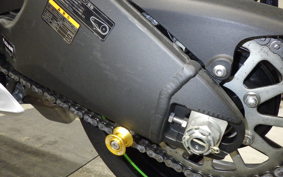 KAWASAKI NINJA ZX-6R A 2020 ZX636G