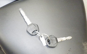 YAMAHA MT-25 A RG74J