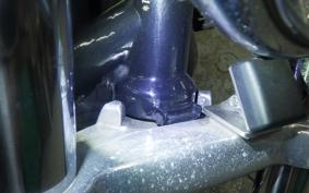 HARLEY XL883 2005