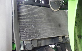 KAWASAKI NINJA 250 ABS EX250L