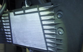 YAMAHA MT-25 2005 RG43J