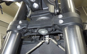 TRIUMPH STREET TRIPLE RS 2020