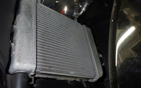 SUZUKI GSX-R125 2007 DL33B