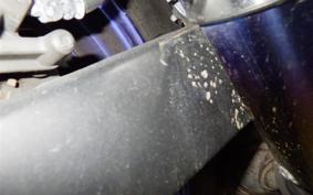 YAMAHA YZF-R25 2006 RG43J