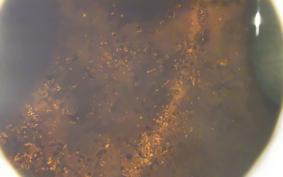 HARLEY FXS 1580 2011