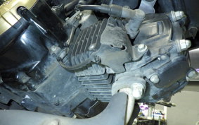 HONDA ｸﾞﾛﾑ JC75