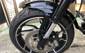 HARLEY FLSB 2021 YMJ