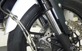 TRIUMPH TIGER 800 XR X 2017