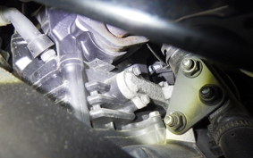 SUZUKI GSX250R 2025