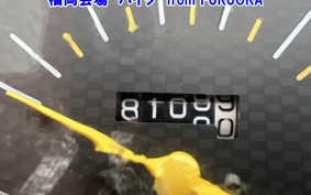 HONDA DIO CHESTER