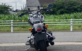 HARLEY FLS 2018 JRV