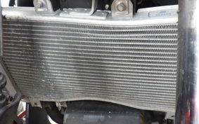 KAWASAKI NINJA 250 2008 EX250P