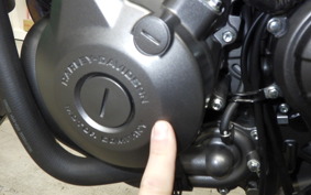 HARLEY X350 2024