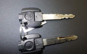 YAMAHA X FORCE SG79J