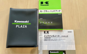 KAWASAKI Z900 2021 ZR900B