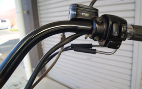 HARLEY FLSTC 2005 BJY