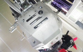 HONDA CRF250L MD47