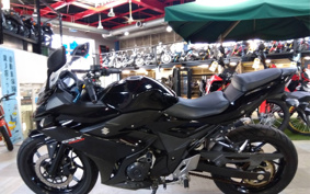 SUZUKI GSX250 R DN11A