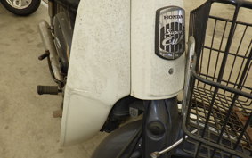 HONDA C50 SUPER CUB 1981 C50
