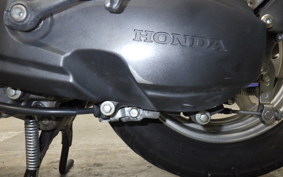 HONDA TACT Basket 2026 AF79