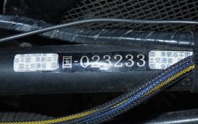 OTHER +UNREGISTERED MODEL by BDS TRIKE240