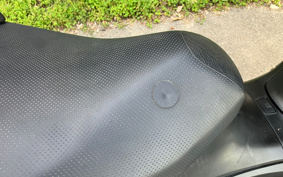 SUZUKI SKYWAVE 250S-1 CJ44A