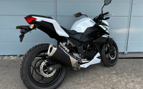 KAWASAKI Z250 ER250C