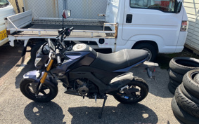 KAWASAKI Z125 PRO BR125H