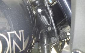 HARLEY FXLRST1920 2024