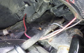 HONDA LEAD 110 2026 JF19