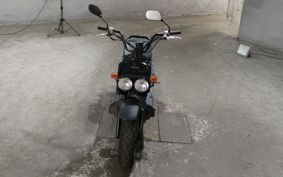 HONDA ZUMAR AF58