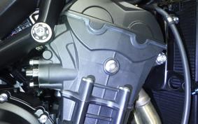TRIUMPH STREET TRIPLE RX 2026