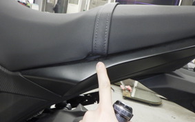 KAWASAKI Z125 PRO 2021 BR125H