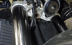 YAMAHA FZ1 FAZER 2008 RN21J