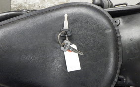 YAMAHA VIRAGO 250 3DM