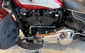 HARLEY FLI 2024 BCK