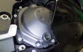 KAWASAKI ZX 1400 NINJA R A 2019