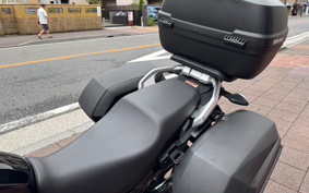 SUZUKI STROM 250ABS DS12E