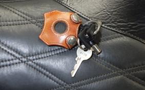 HARLEY FLTRXSE1800CVO