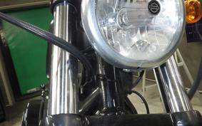 HARLEY XL883N 2018