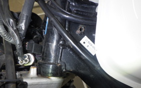 YAMAHA TW225 DG09J