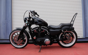 HARLEY XL883R 2009 CS2