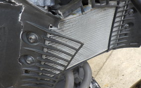 YAMAHA MT-25 RG10J