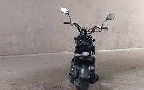 HONDA ZUMAR AF58