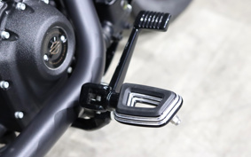 HARLEY FXLRS 2022 YWZ