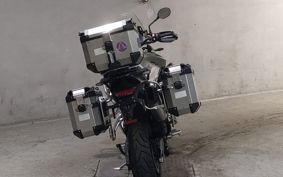 TRIUMPH TIGER 900 RALLY PRO 2023 TRE67D