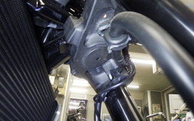 KAWASAKI Z900RS 2023 ZR900K