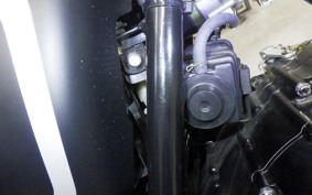 OTHER +UNREGISTERED MODEL by BDS250 2017