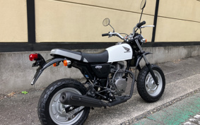 HONDA APE 100 HC07