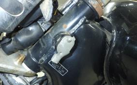 YAMAHA VIRAGO 250 2021 3DM